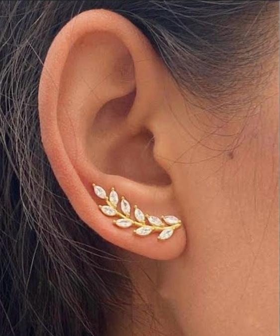 Climber classy earrings